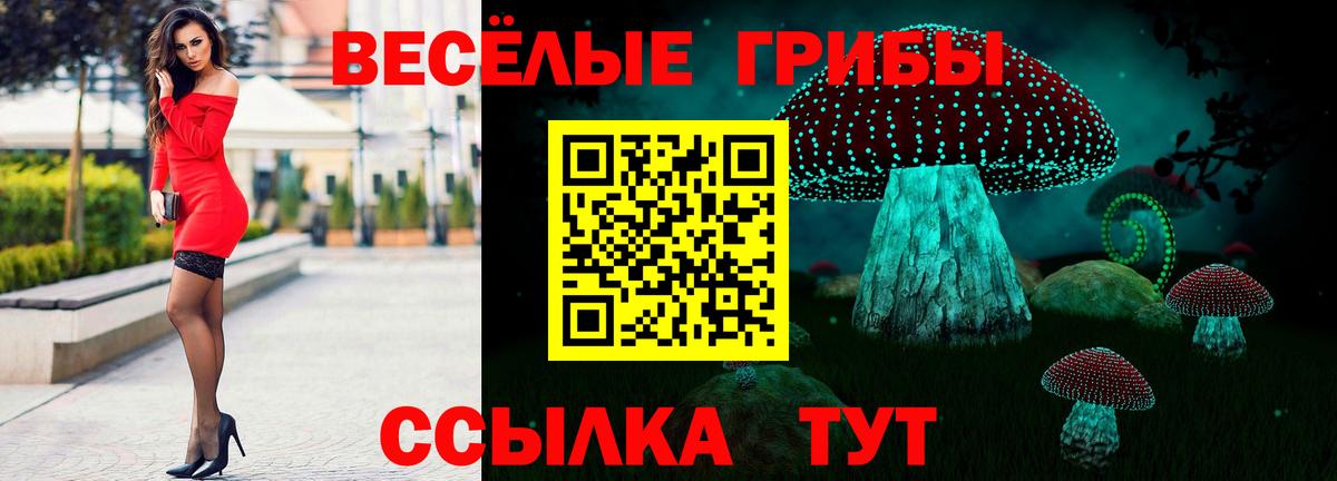 Галлюциногенные грибы мухоморы Зеленокумск